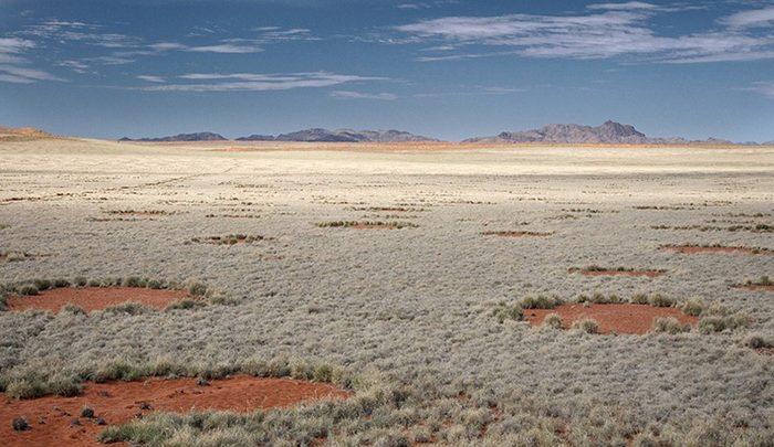 حلقه های اسرارآمیز نامیبیا ، تصاویر حلقه های اسرارآمیز نامیبیا ، تصاویر