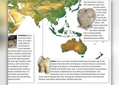 یک کشف باستان شناسی ایران در میان 10 کشف برتر اخیر دنیا ، دندان انسان نئاندرتال غار وزمه کرمانشاه دنیای شد