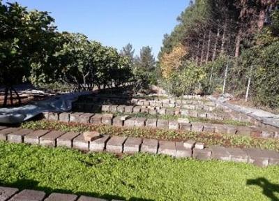 دو گلخانه از سوی شهرداری دانشگاه رازی با جمع آوری ضایعات فلز احداث شد