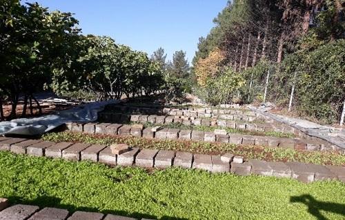 دو گلخانه از سوی شهرداری دانشگاه رازی با جمع آوری ضایعات فلز احداث شد