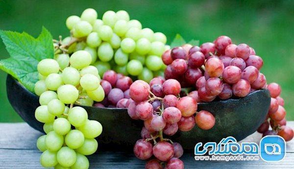 بعد از خوردن این میوه آب ننوشید! بعد از خوردن این میوه آب ننوشید!