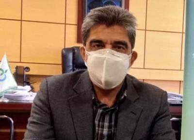 هیچگونه آلودگی در نان کرمانشاه مشاهده نشده است