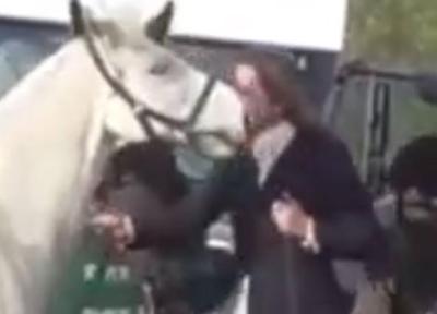 انتشار تصاویری از بد رفتاری یک سوارکار با اسب خود