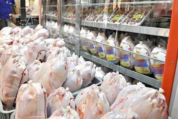 توزیع روزانه 1000 تن مرغ منجمد در بازار ، مرغ منجمد کیلویی چند؟